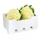 ZEIN CAULIFLOWER ZEIN FOAM  51007