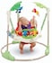 Coolbaby Baby Bouncing Chair/Jumper