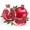Pomegranate