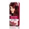 Garnier Color Intensity Hair Dye - 4.60 Intense Dark Red