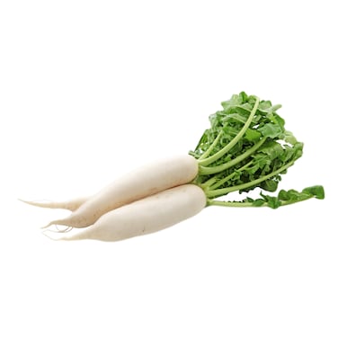 White Raddish