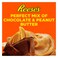Hershey's Reese's Cups Miniatures Peanut Butter Chocolate 340g