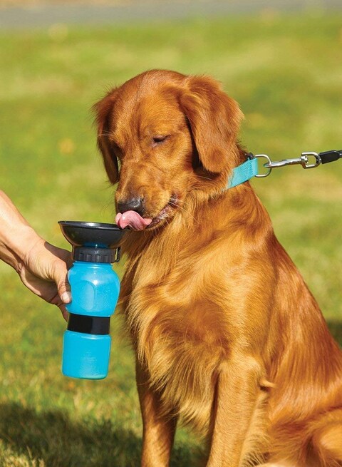 500Ml Outdoor Water Bottle for Dogs And Cats Pets Portable Aqua Dog Outdoor Walk Travel Squeeze Water Bottle Bowl Auto Dog Mugx2 pcs