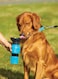 500Ml Outdoor Water Bottle for Dogs And Cats Pets Portable Aqua Dog Outdoor Walk Travel Squeeze Water Bottle Bowl Auto Dog Mugx2 pcs