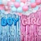 Party Time 35pcs Gender Reveal Party Decoration Supplies Blue Pink White Confetti Mylar Latex Balloon Garland Kit Boy or Girl Metallic Tinsel Foil Fringe Curtain with Balloon Arch Strip for Baby Showe