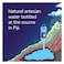 Fiji Artesian Water 330mL