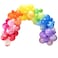 GingerRay - Balloon Arch Kit - Rainbow