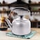 Raj Steel Tea Kettle