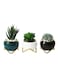 Generic 3Pcs Small Succulent Planter Succulent Plant Pots Plant Container Small Flowerpot Succulent Container For Store Office Home Decoration (Plant Not Included)