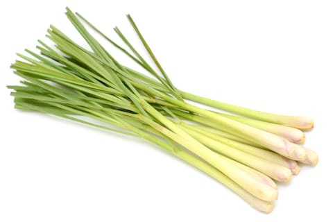 Lemon Grass - 100 gram