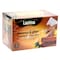 Lavina Cinnamon And Ginger Garcinia Herbal Infusion Tea Bag 2g x 20 Pieces