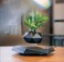 Floating Plant Pot -Levitating Plant Pot for Succulents, Floating Planter for Home, Office &amp; Desk Levitating Decor. Magnetic Levitation Display- Home Decor, Office, Living Room