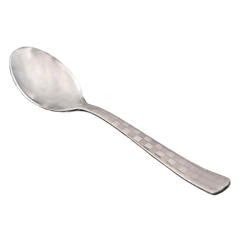 NATRAJ LASER SS SOUP SPOON