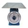 Camry Dial Spring Scale 100Kg