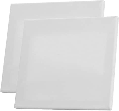 Generic Blank Canvas-A4 Size-24cmx30cm-2Pcs Set