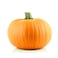 Pumpkin Red
