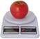 Grace Kitchen Mini Food Scale Digital Weight Electronic Scales