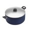 RAJ NONSTICK INDUCTION COOKING POT WITH GLASS LID 22 CM