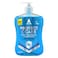 ASTONISH H/W CLEAN &amp; PROTECT 650ML