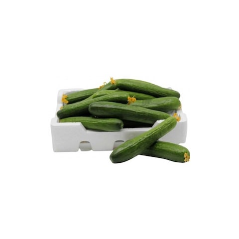 Foam Pack Cucumber