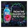 Fiji Water Bottles 330ml x24