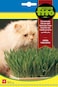 Fito Cat Grass-4262