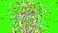 lavish PARTY POPPER SMALL