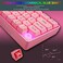 HXSJ V700 Wired Gaming Keyboard RGB Streamer Wired Keyboard 61-key Gaming Keyboard for Game/Office Black (Pink)
