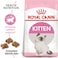Royal Canin Feline Health Nutrition Kitten 2kg Cat Dry Food