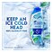 Head &amp; Shoulders Sub Zero Freshness Anti Dandruff Shampoo 400ml