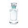Tiffany &amp; Co. Eau De Parfum For Women - 75ml