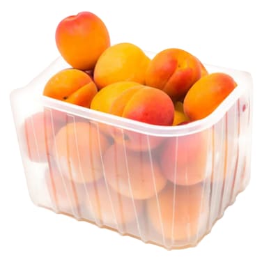 Apricot Punnet 500g