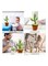 Electric Dancing Cactus Plant Stuffed Toy With Music