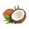 Dry Coconut
