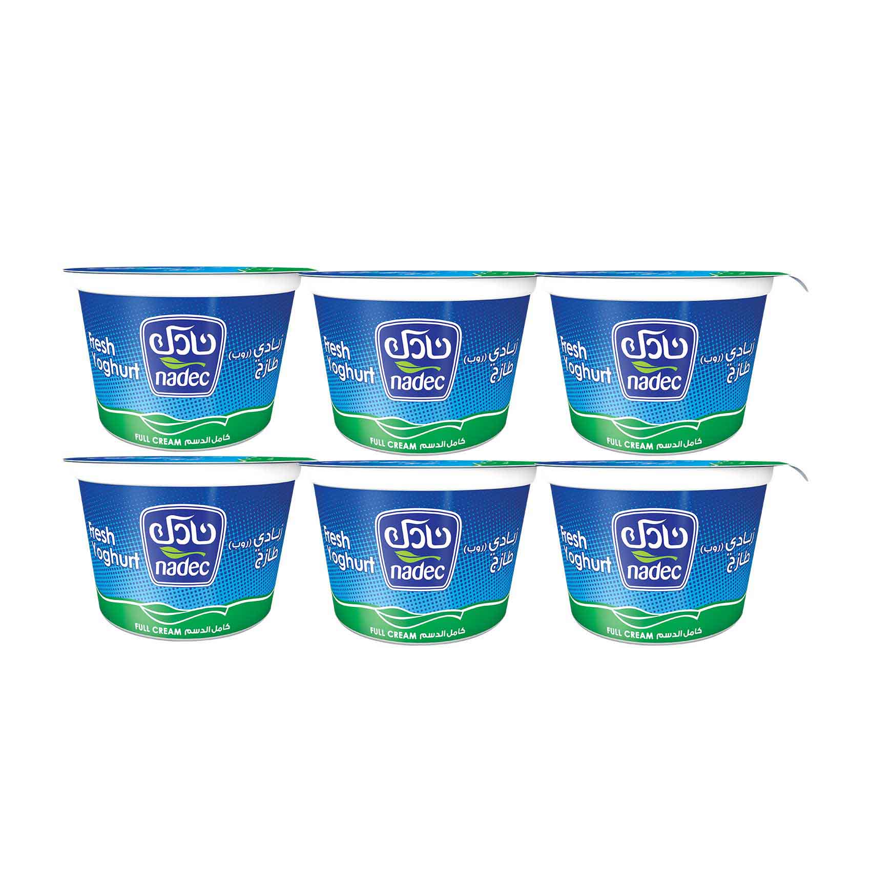 Buy Nadec Yoghurt Full Fat 170g × 5 +1 Free Online | Carrefour KSA