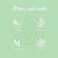 Now Solutions Peppermint Oil Organic, 1 Oz.