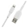 Belkin Braided USB to Lightning Charging Cable, White, 2m