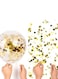 Generic 20-Piece Confetti Balloons Set 12Inch