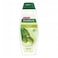 Palmolive Olive Oil Moisturizing Shampoo 380ml