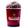 Coldstone Creamery Chocolate Ice Cream 500ml