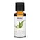 Now Essential Oils Pure Eucalyptus Clear 30ml