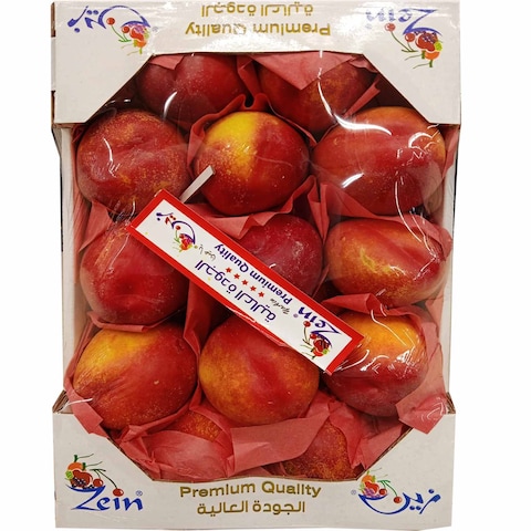 ZEIN NECTRAIN LEB 51007