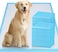 Vsell24 50PC 6 Layer Disposable Quick Absorbent Pet Training Pads Anti Slip Toilet Pee Puppy Pads For Potty Training For Dogs And Cats (Medium)(45X60CM)