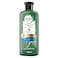 Herbal Essences Hair Strengthening Sulfate Free Potent Aloe Vera + Bamboo Natural Shampoo for Dry Hair And Hair Hydrate 400ml