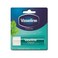 Vaseline Lip Care Stick Mint 4.8 gr