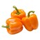 Capsicum Orange