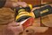 DEWALT Random Orbit Sander, 125mm, Variable Speed, 3.0 Amp, Corded, 12000 OPM, Yellow Black - DWE6423-B5, 3 Years Warranty