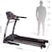 Sparnod Fitness STH-5300 (5.5 HP Peak) Automatic Treadmill (Free Installation Service) - Foldable Motorized Walking &amp;; Running Machine for Home Use - Sturdy Equipment with Auto Incline