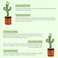 Generic Electric Dancing Cactus Toy For Baby, The Singing Cactus Toys For Kids, Mimicking Repeating Parrot Talking Cactus Toy That Can Sing And Dance USB Rechargable