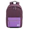 American Tourister Carter 1 AS Backpack Grape Brown